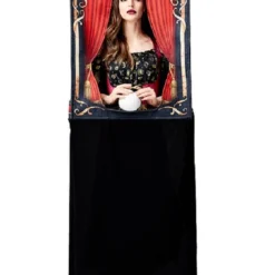 Costumescenter Adult Cosplay Fortune Teller Fancy Halloween Costume