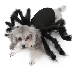 Costumescenter Halloween Pet Big Spider Costume Funny Party Dress Up Accessories